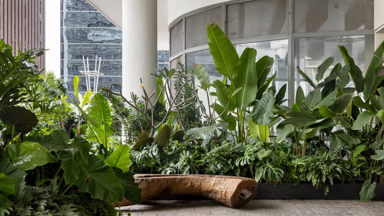 Conheça as vantagens de apostar em um projeto de som. Projeto de Mônica Costa. Na foto, jardim com um banco de tronco de árvore